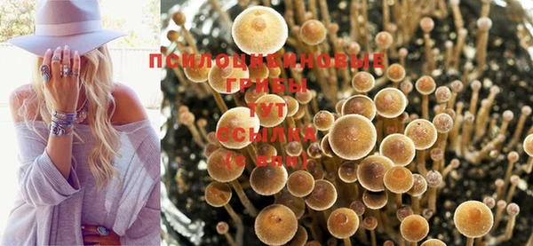 a pvp Абдулино