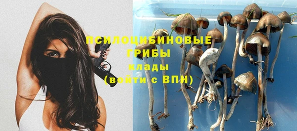 a pvp Абдулино